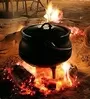 Creamy Beef Potjie The Fire Works